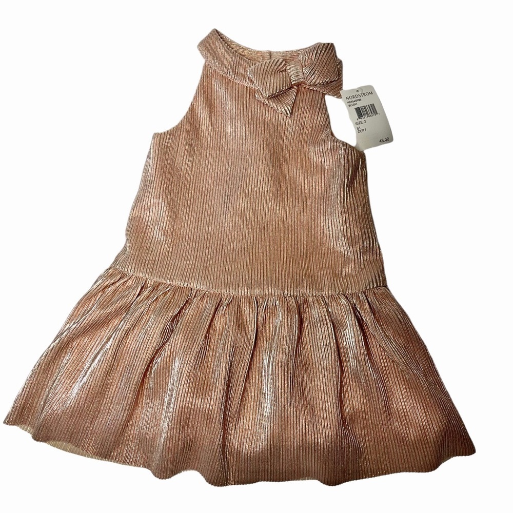 NWT Zunie Little Girl Metallic Blush Pink Sleeveless Dress Size 2